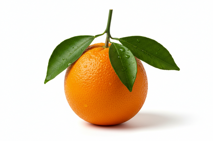 GETRINSD Vitamin C Aroma Shower Filter (Orange)