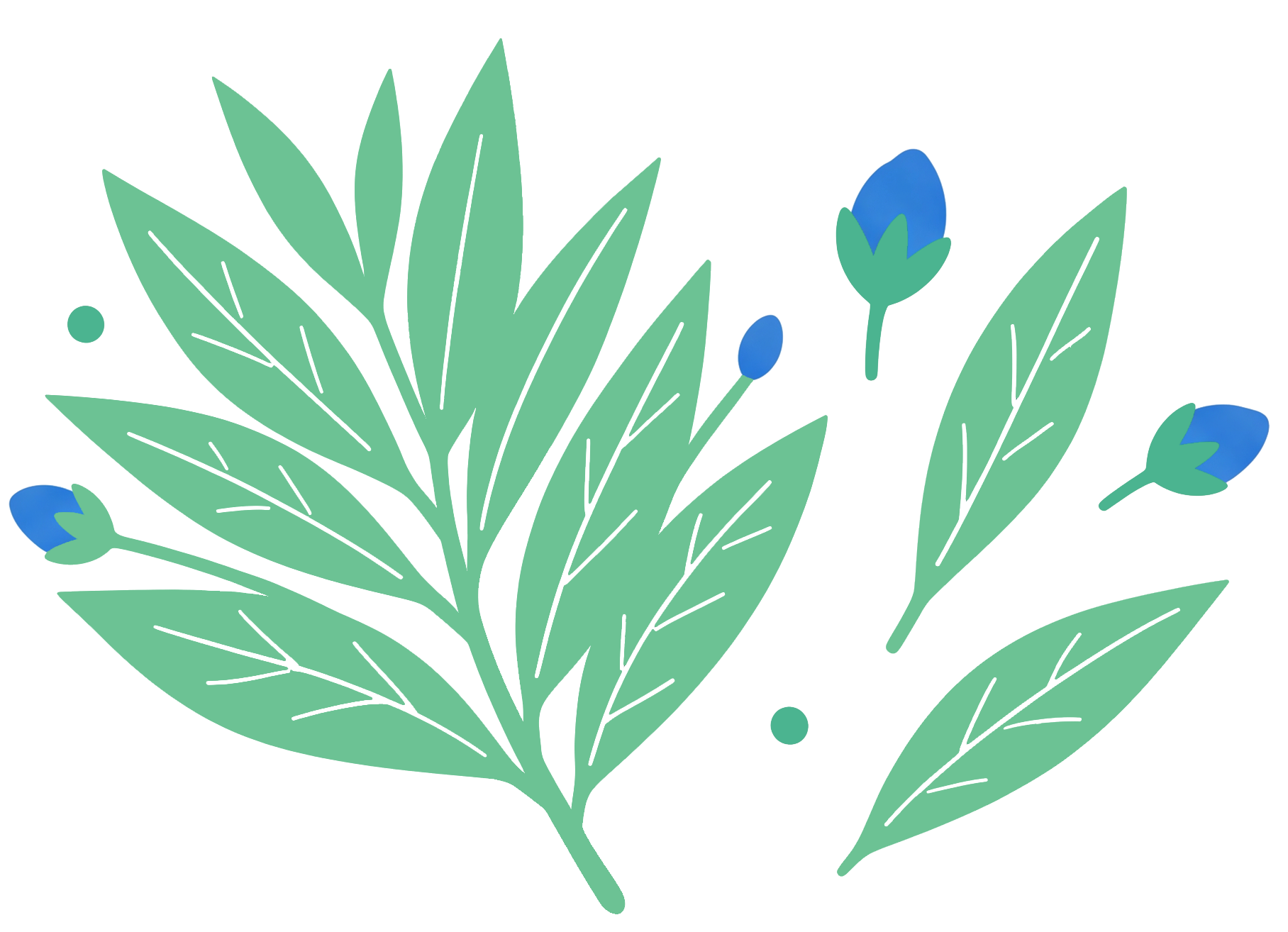 Tea Tree